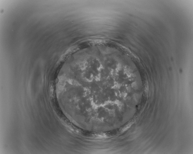 X0000078280715200611251418