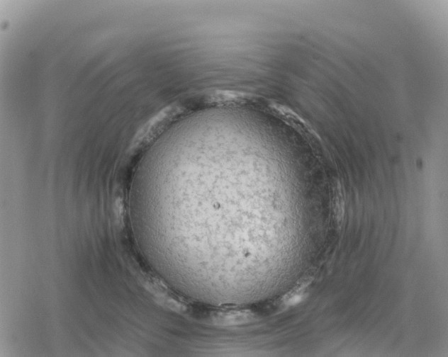 X0000078280716200611251418