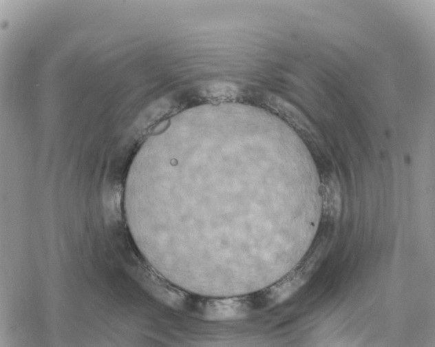 X0000078280717200611251418