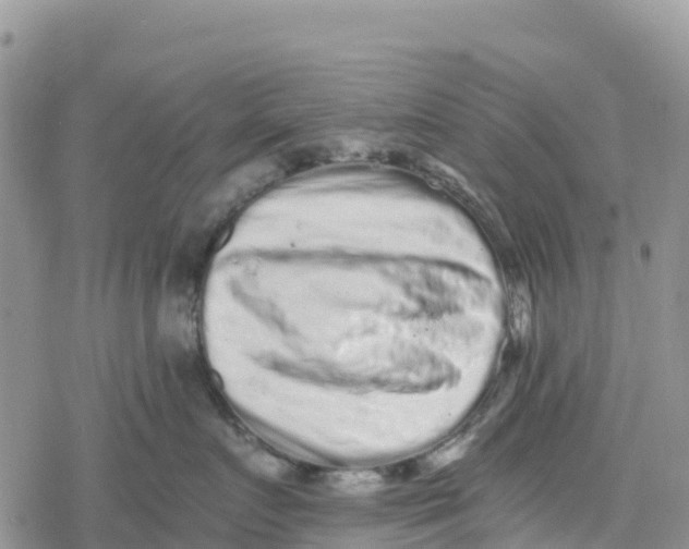 X0000078280719200611251418