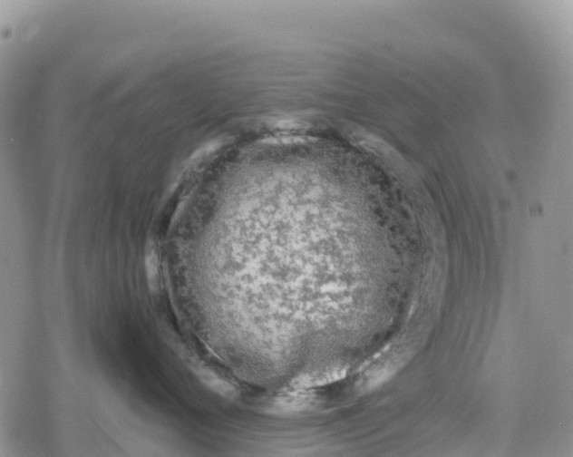 X0000078280720200611251418