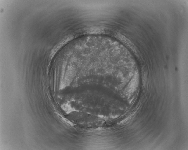 X0000078280721200611251417