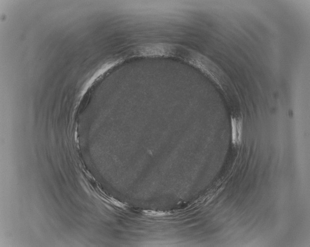 X0000078280723200611251417