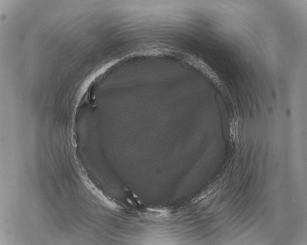 X0000078280724200611251417