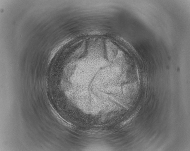 X0000078280725200611251417