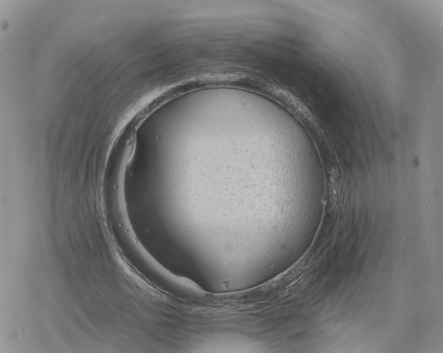 X0000078280726200611251417