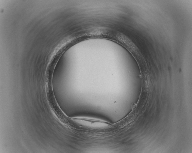 X0000078280728200611251417