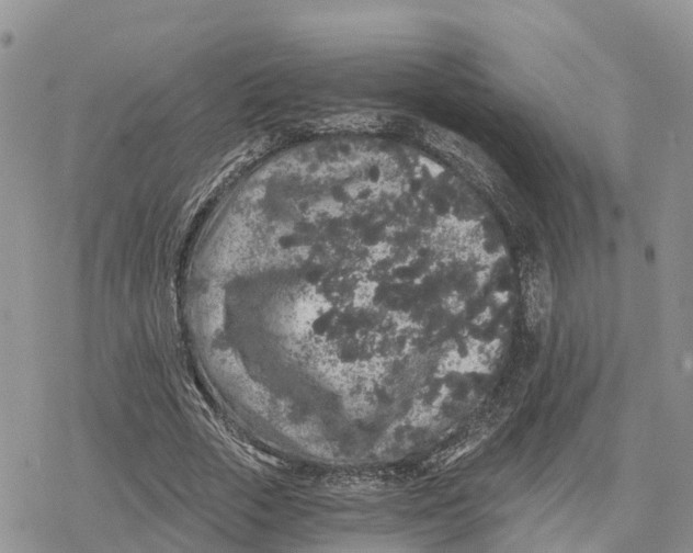 X0000078280729200611251417