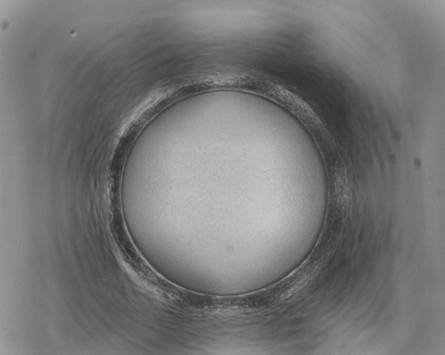 X0000078280730200611251417