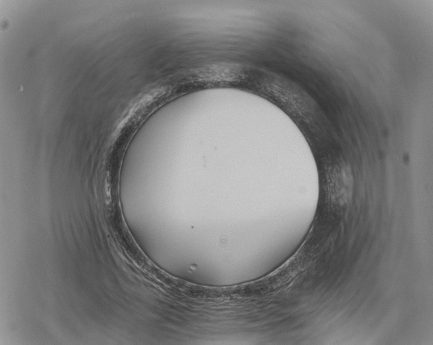 X0000078280731200611251417