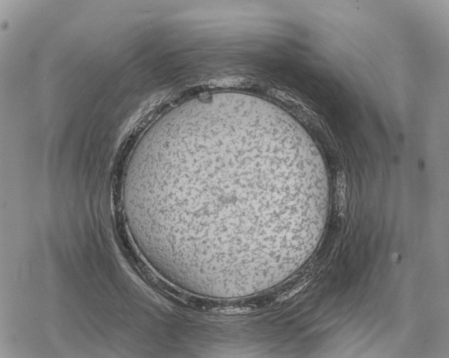 X0000078280734200611251417