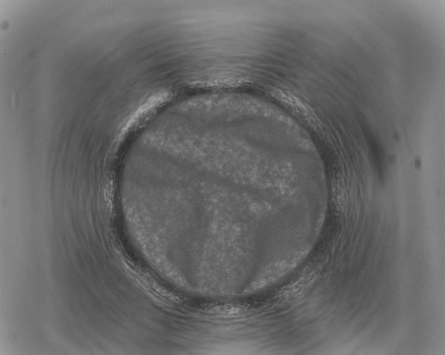 X0000078280735200611251417