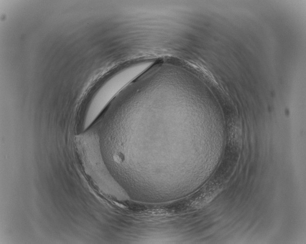 X0000078280736200611251417