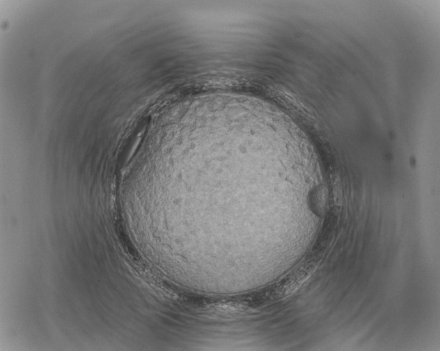 X0000078280737200611251418