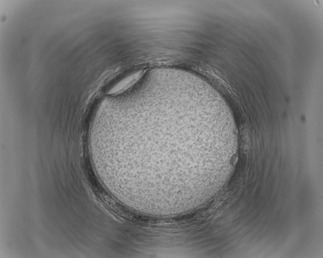 X0000078280738200611251418