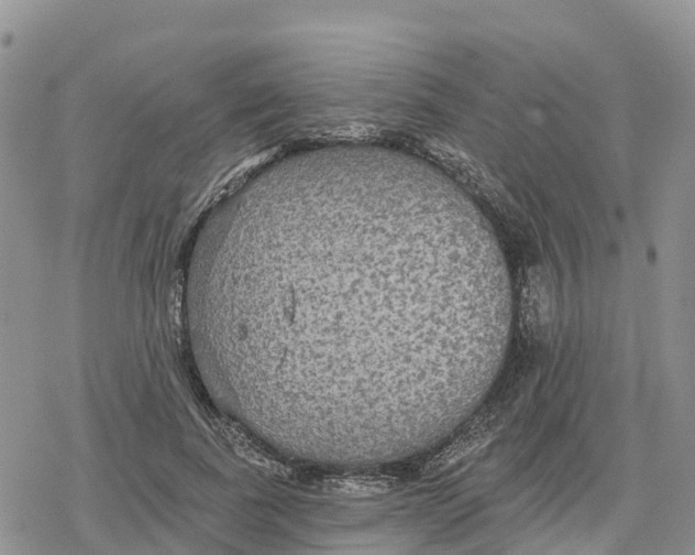 X0000078280739200611251418