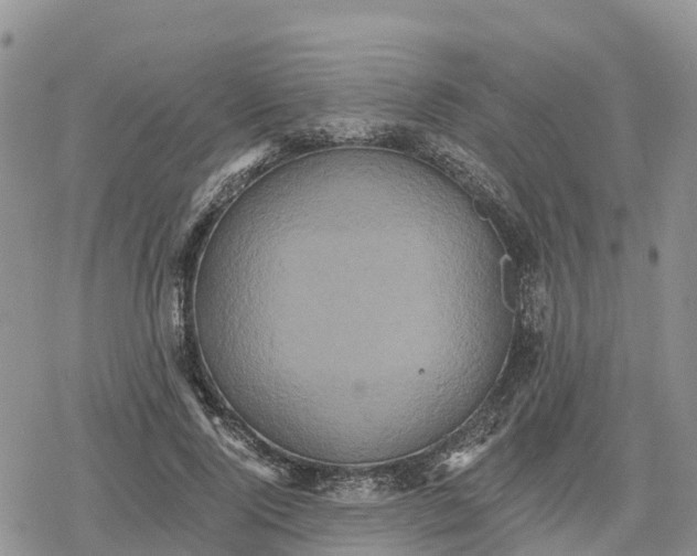 X0000078280740200611251418