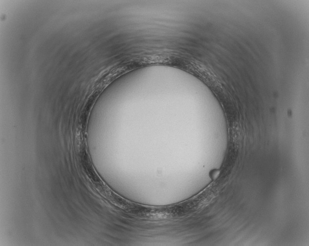 X0000078280741200611251418