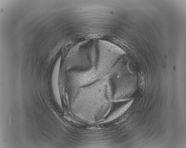 X0000078280742200611251418