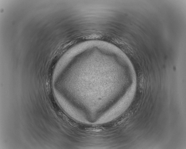 X0000078280743200611251418