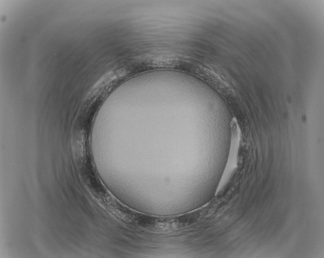 X0000078280744200611251418