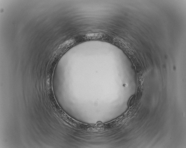 X0000078280745200611251418