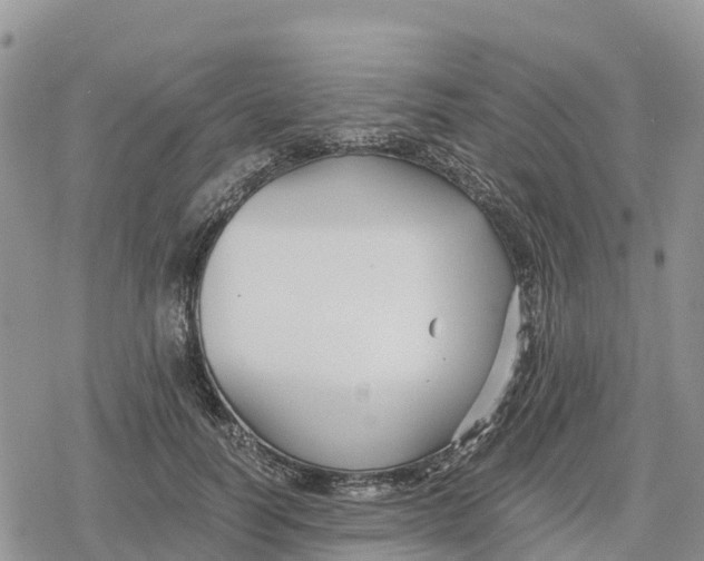 X0000078280746200611251418