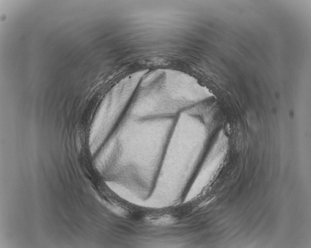 X0000078280747200611251418