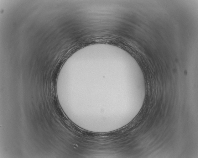 X0000078280748200611251418