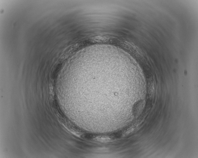 X0000078280749200611251418