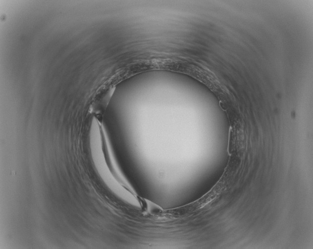 X0000078280750200611251418