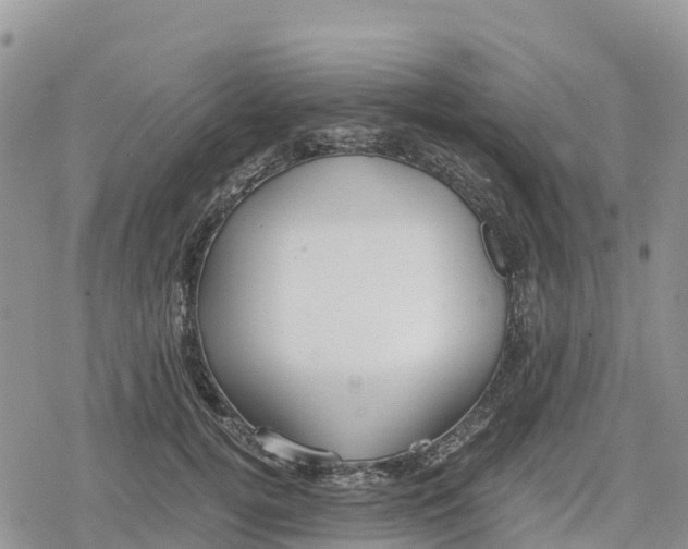 X0000078280752200611251418