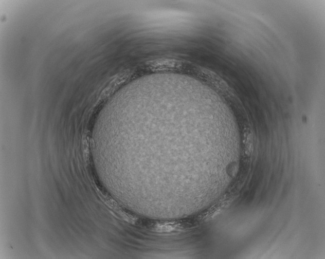 X0000078280753200611251418