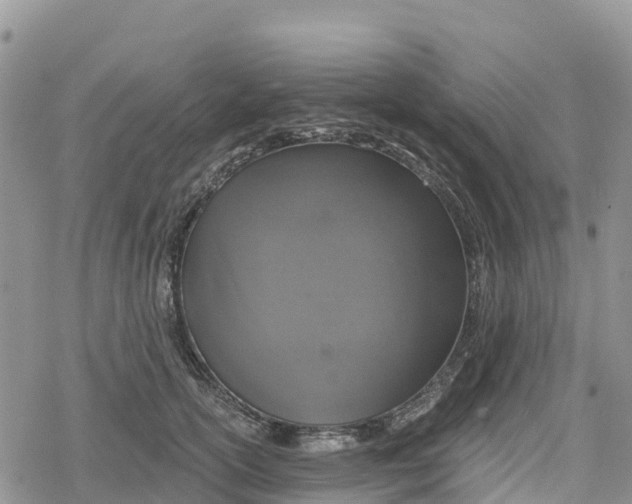 X0000078280754200611251418