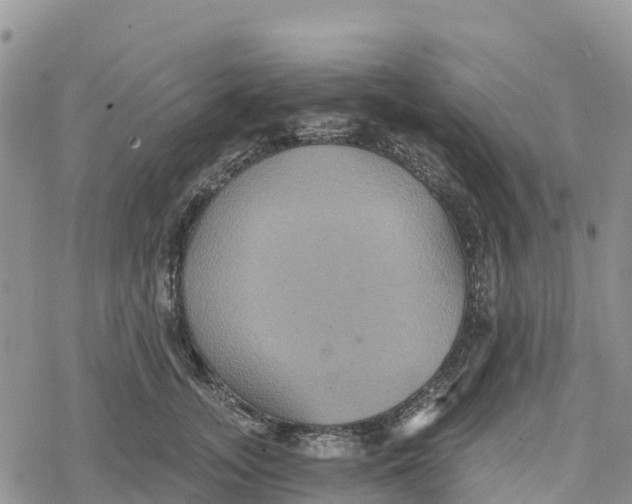 X0000078280755200611251418