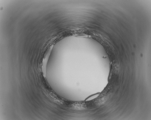 X0000078280756200611251418