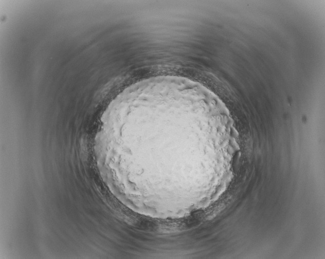 X0000078280757200611251418