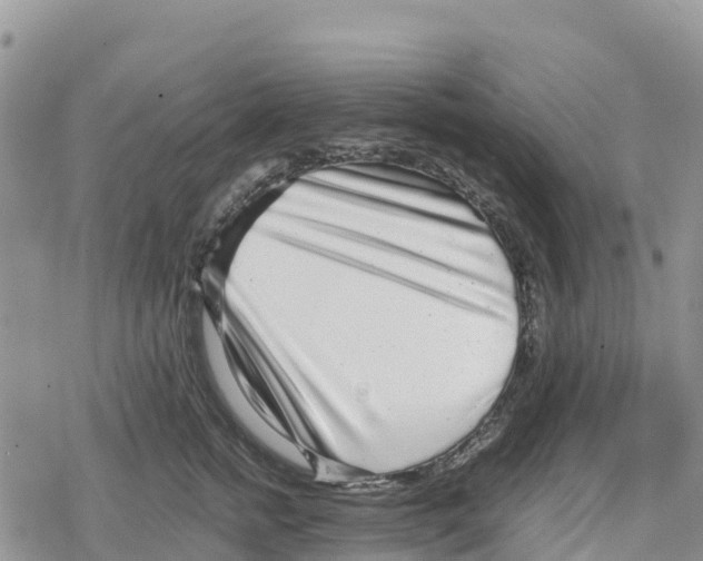 X0000078280758200611251418