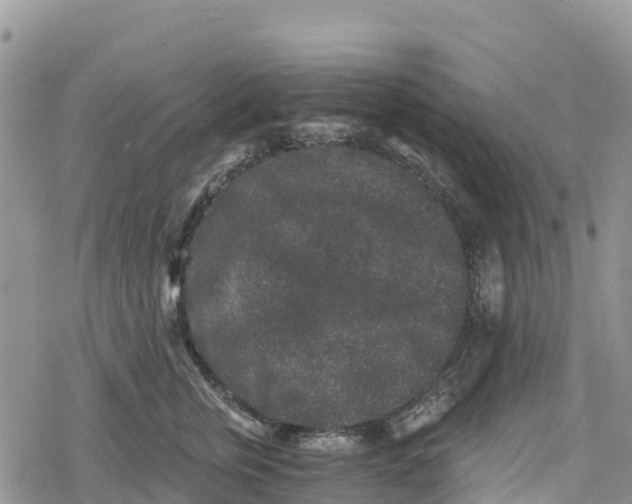 X0000078280759200611251418