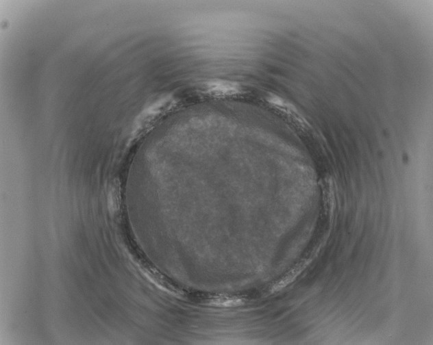 X0000078280760200611251418