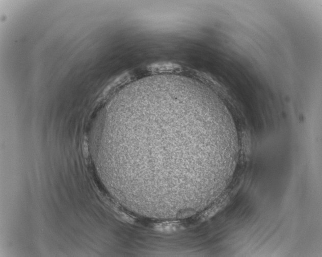 X0000078280761200611251418