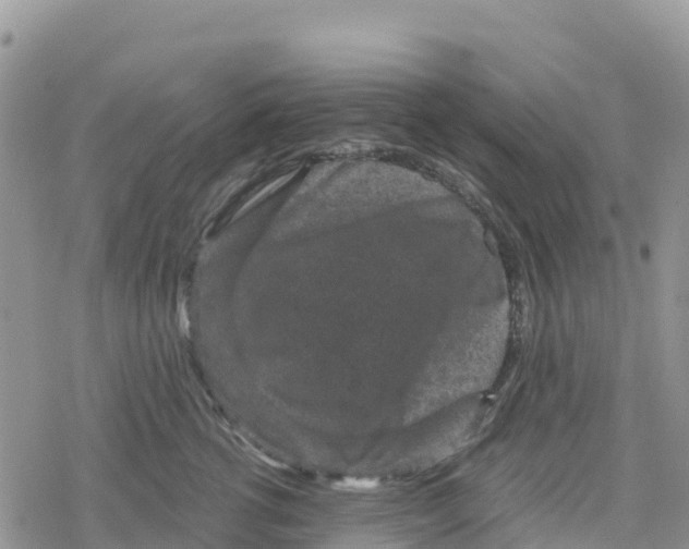 X0000078280762200611251418