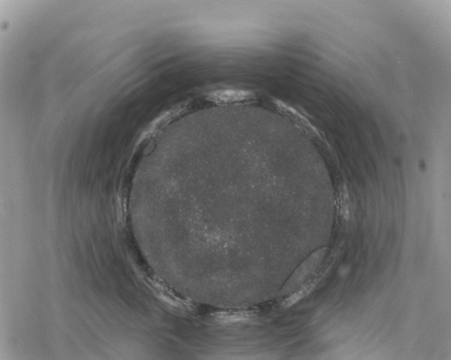 X0000078280763200611251418