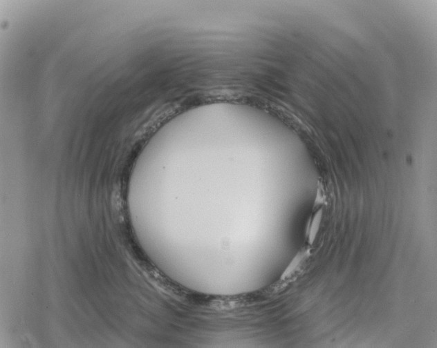 X0000078280764200611251418