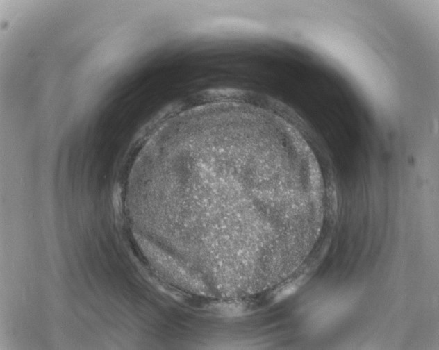 X0000078280765200611251418