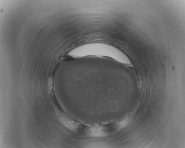 X0000078280767200611251418