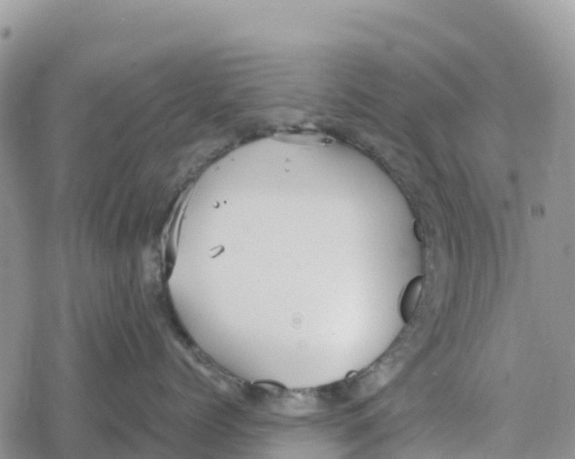 X0000078280768200611251418