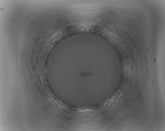 X0000078280769200611251417