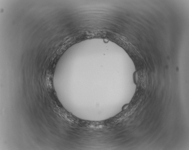 X0000078280770200611251417