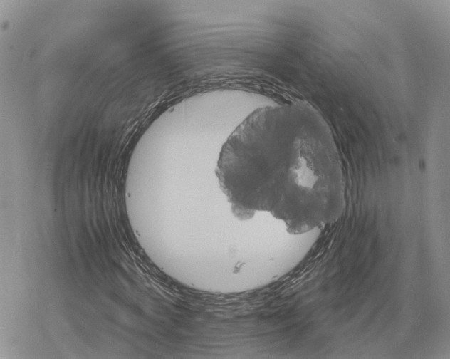 X0000078280772200611251417